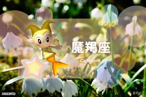 �ǰ����ˣ�12��29�գ�����Ы�����꣬Ħ������ڣ�ˮƿ��Ҫ���